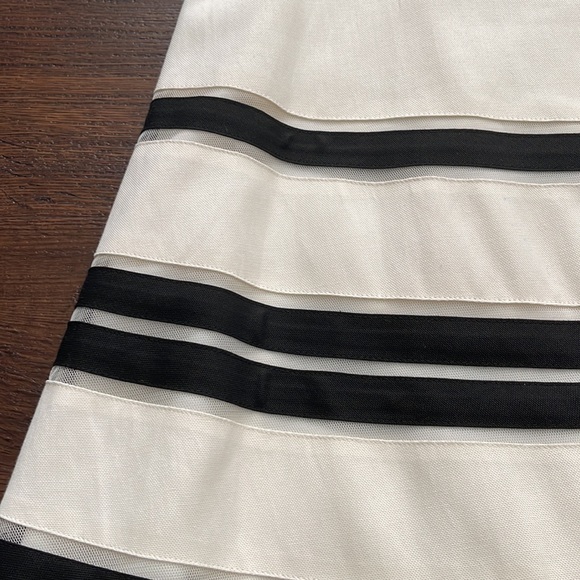 Ann Taylor NWOT Lined 70% Silk/ 30 Cotton Skirt with mesh and black trim detail. - Picture 5 of 7